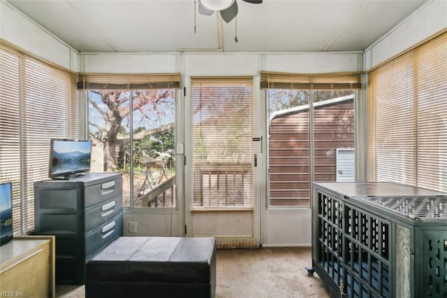 sunroom featuring a ceiling fan