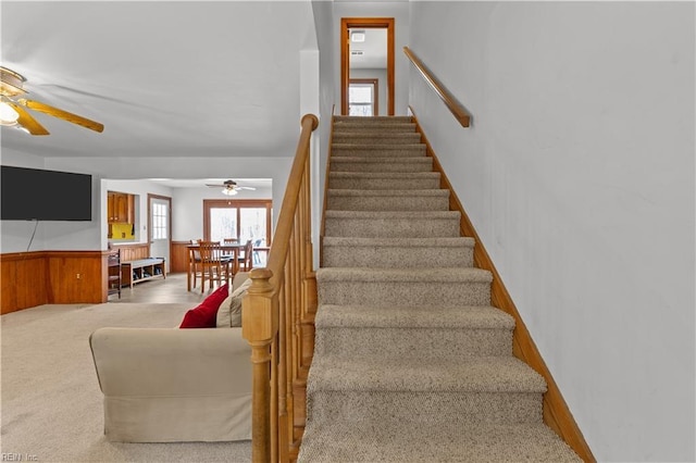 staircase with wainscoting, ceiling fan, wooden walls, and carpet flooring