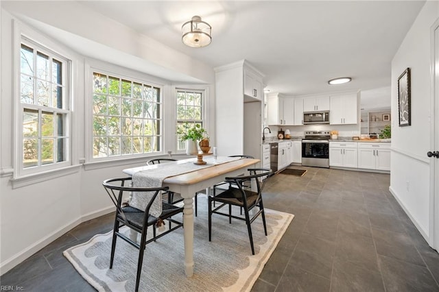 dining room with baseboards and a healthy amount of sunlight