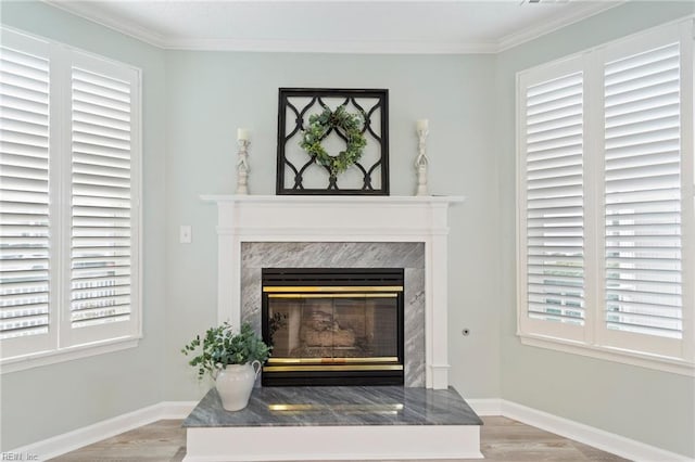 details with wood finished floors, crown molding, baseboards, and a premium fireplace