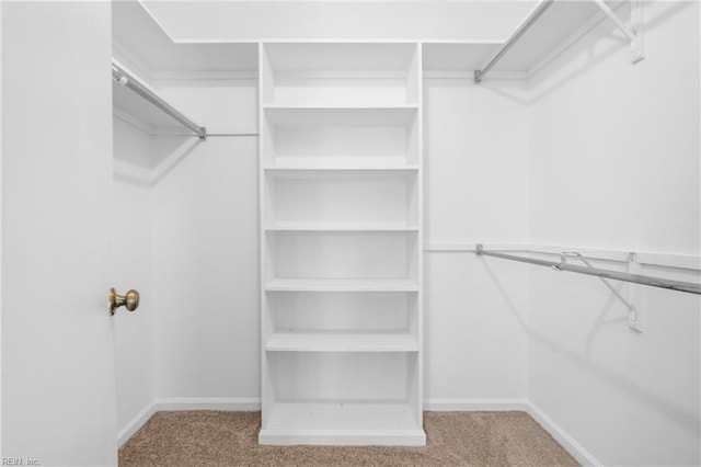 walk in closet featuring light carpet