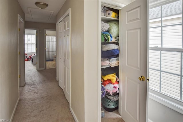 hall featuring attic access, baseboards, and light colored carpet