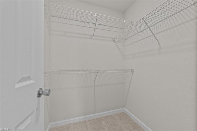 walk in closet with carpet flooring