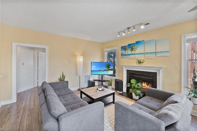 living room with baseboards, a fireplace with flush hearth, wood finished floors, a textured ceiling, and a wealth of natural light