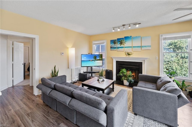 living room featuring a fireplace with flush hearth, a textured ceiling, a wealth of natural light, and wood finished floors