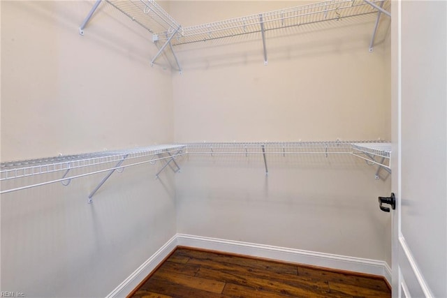 walk in closet with dark wood-type flooring