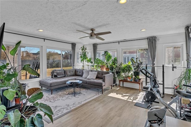 sunroom with a ceiling fan and a healthy amount of sunlight