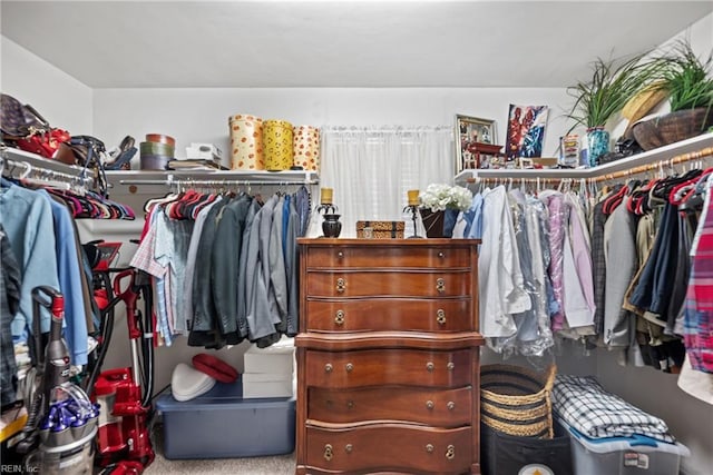 walk in closet featuring carpet