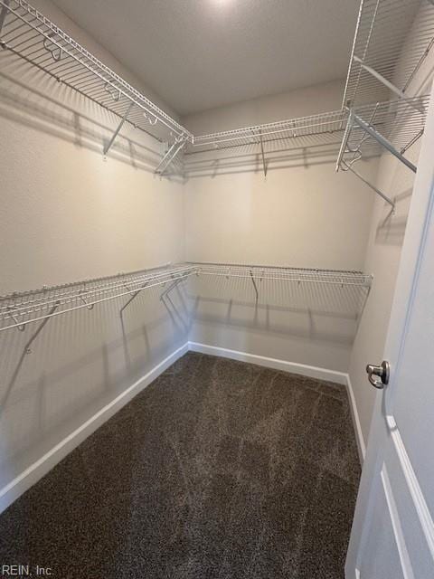 walk in closet with dark colored carpet