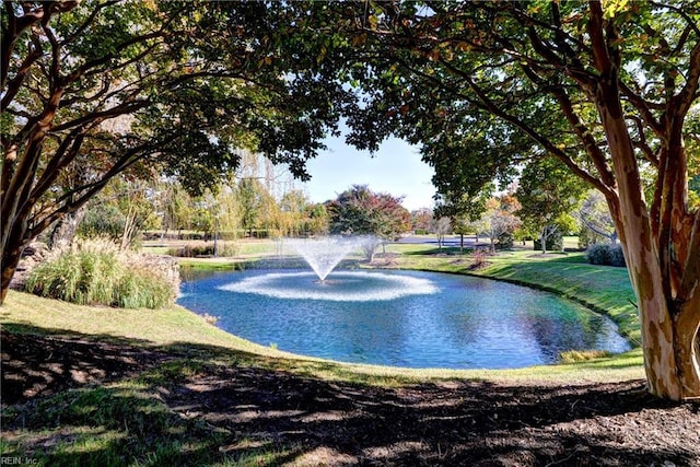 property view of water