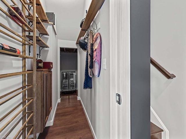 walk in closet featuring dark wood-type flooring