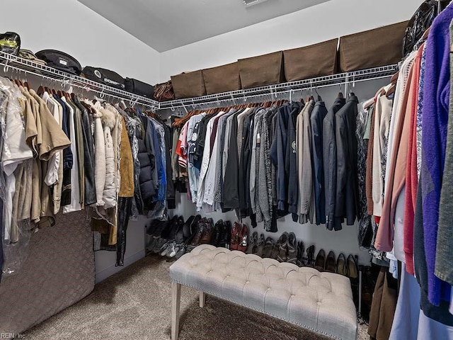 walk in closet with carpet flooring