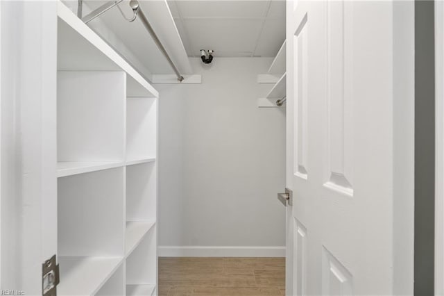 spacious closet with light wood-style flooring