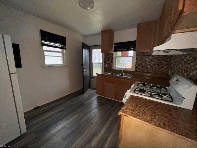 kitchen featuring tasteful backsplash, dark wood-type flooring, a sink, white appliances, and baseboards