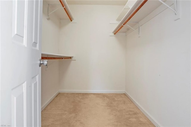 walk in closet featuring light colored carpet