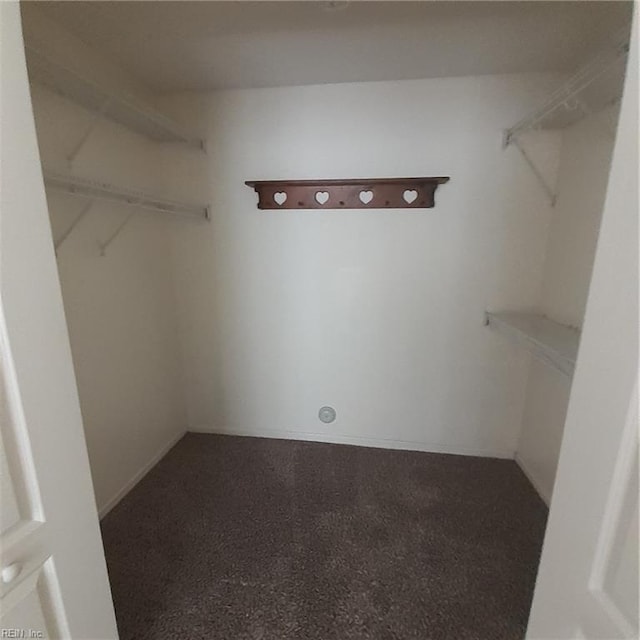 spacious closet featuring carpet floors