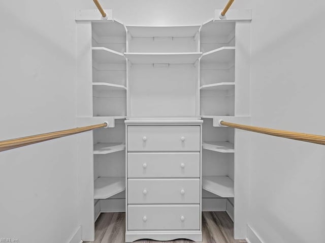 spacious closet with light wood-type flooring