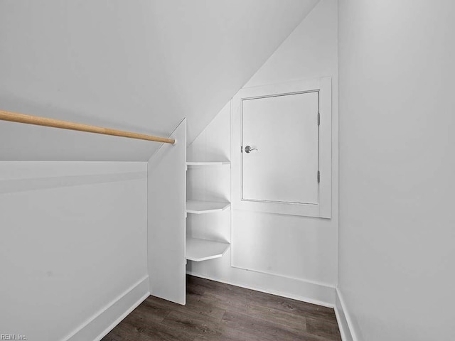 walk in closet with vaulted ceiling and dark wood-type flooring