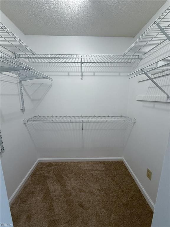 spacious closet with carpet floors