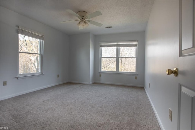 spare room featuring light carpet, a textured ceiling, a wealth of natural light, and baseboards