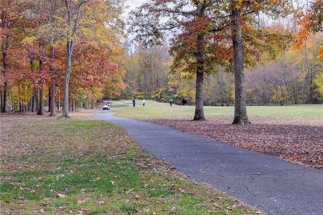 view of community with a view of trees and a yard