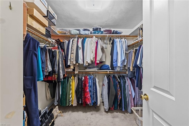 spacious closet with carpet