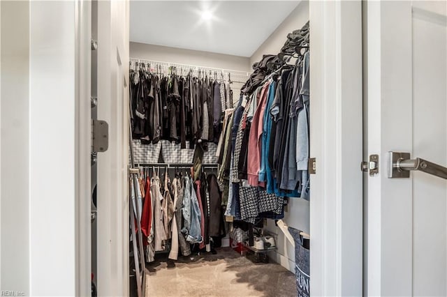 view of spacious closet