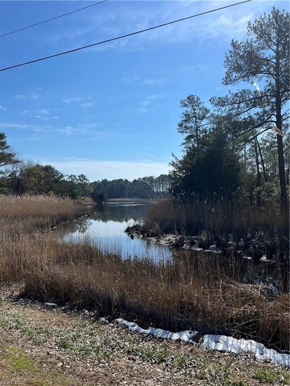 water view featuring a forest view