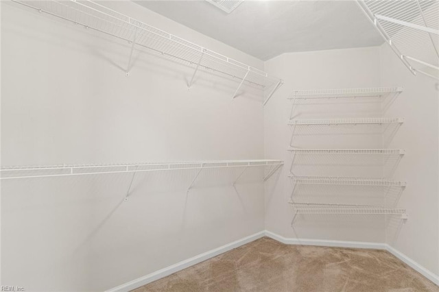 spacious closet with carpet floors