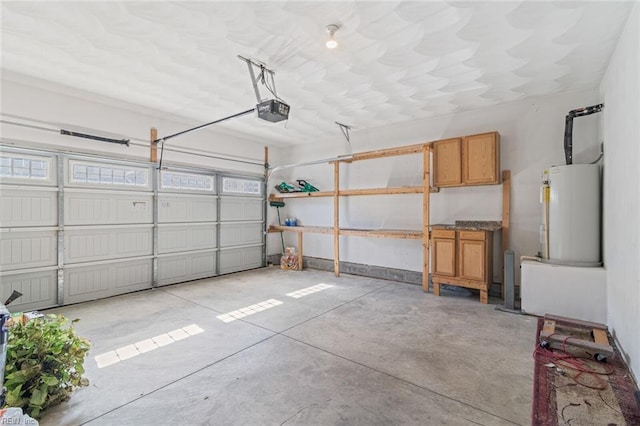 garage featuring gas water heater and a garage door opener