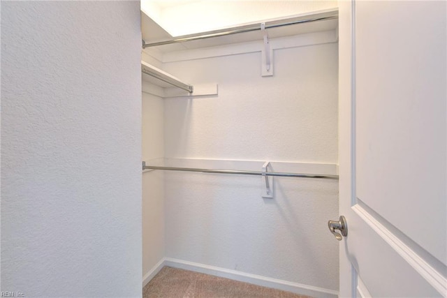 spacious closet featuring carpet