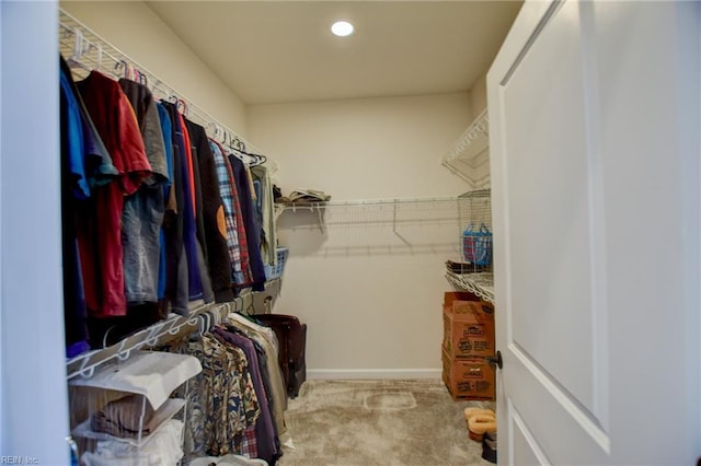 walk in closet with carpet floors