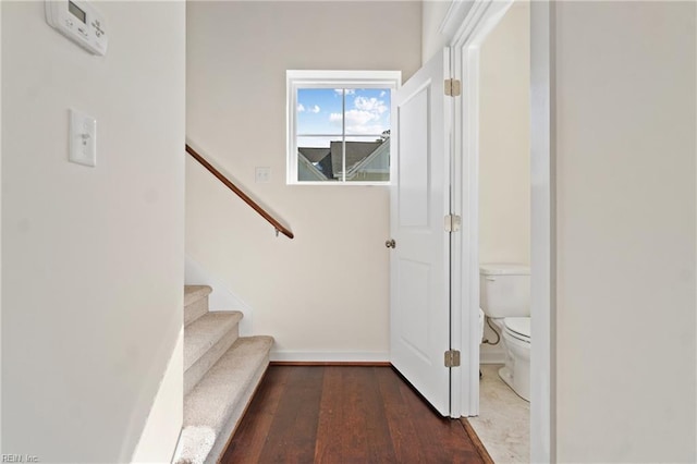 interior space featuring baseboards and wood finished floors