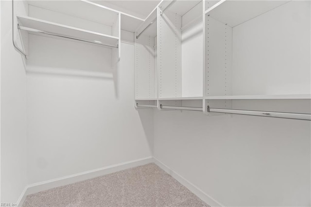 spacious closet featuring carpet floors