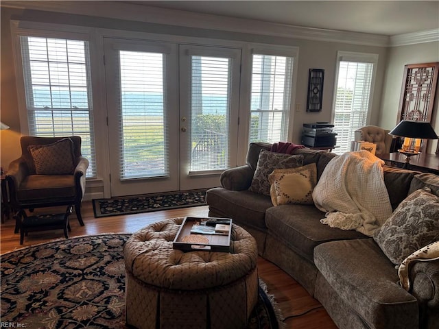 living area featuring crown molding and wood finished floors