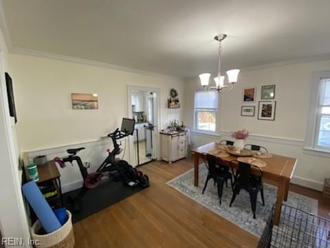 dining space featuring ornamental molding, plenty of natural light, and wood finished floors