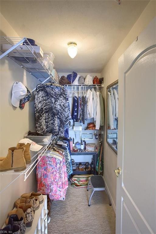 walk in closet featuring carpet floors