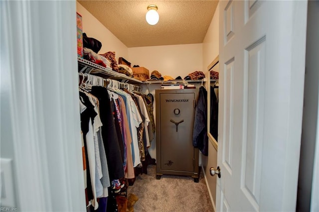 spacious closet with light carpet