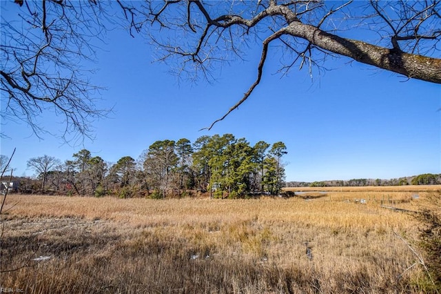 view of local wilderness featuring a rural view