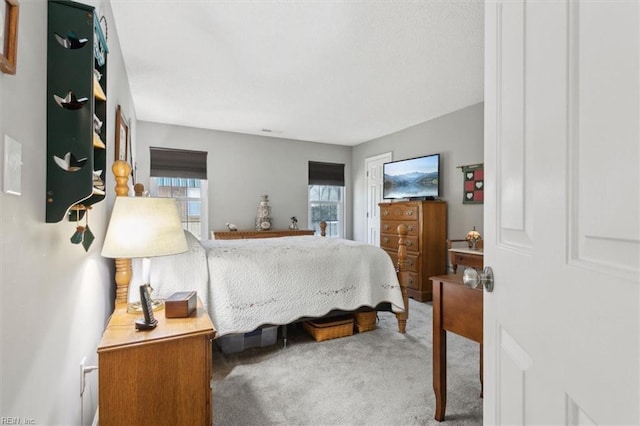 bedroom with carpet flooring