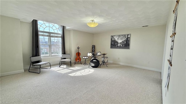 miscellaneous room with carpet floors, baseboards, visible vents, and a textured ceiling