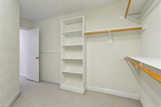 walk in closet with carpet flooring