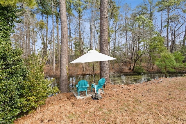 view of yard with a water view