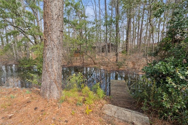 view of water feature featuring a dock