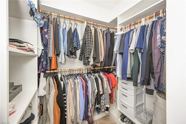 view of spacious closet