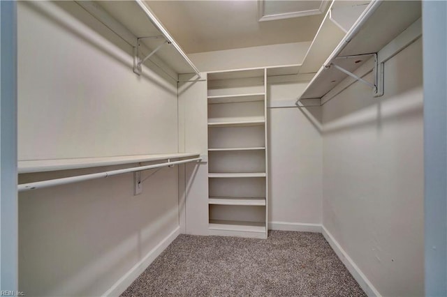 spacious closet featuring carpet flooring