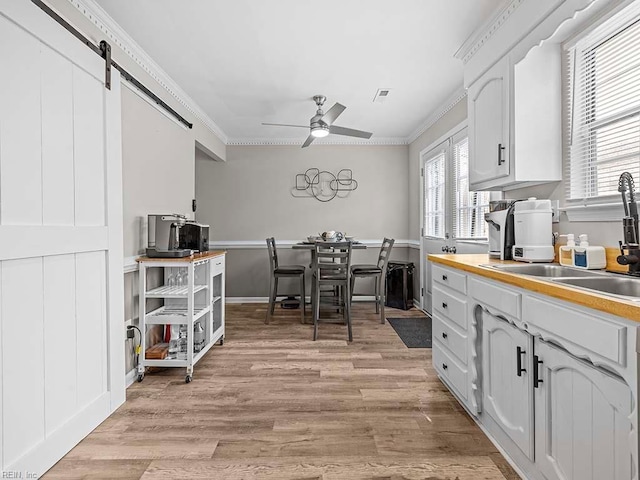 kitchen featuring ornamental molding, a sink, light wood-style flooring, and a healthy amount of sunlight