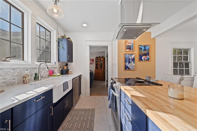 kitchen with stainless steel appliances, a sink, wood counters, and blue cabinetry