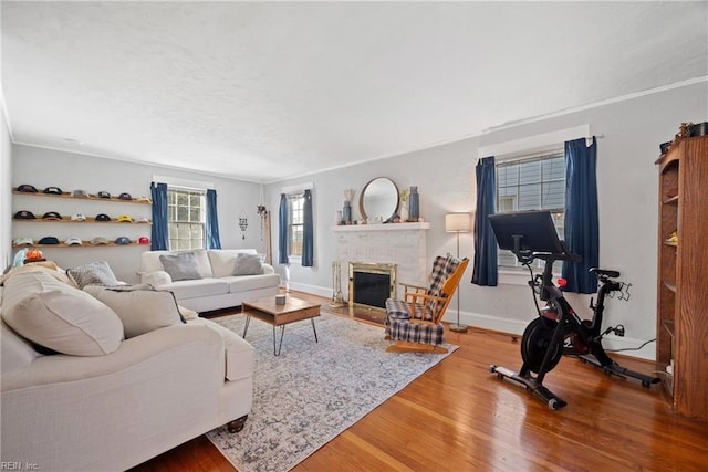 living area featuring a fireplace, baseboards, wood finished floors, and ornamental molding