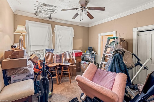 interior space with carpet floors, a ceiling fan, and crown molding